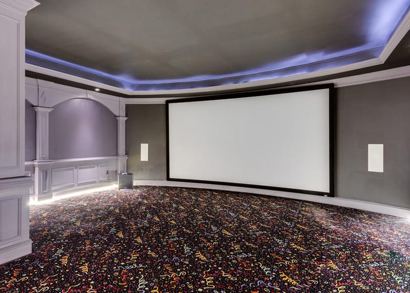 Spring Hill Farm Dr-large-147-Theater